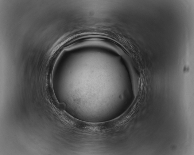 X0000116160295200911231411