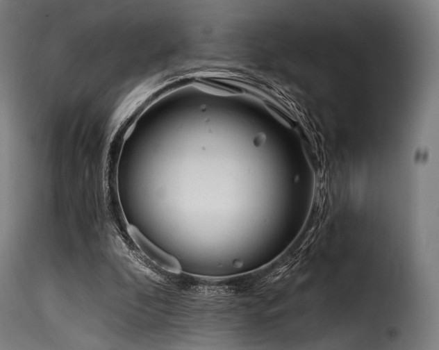 X0000116160296200911231411