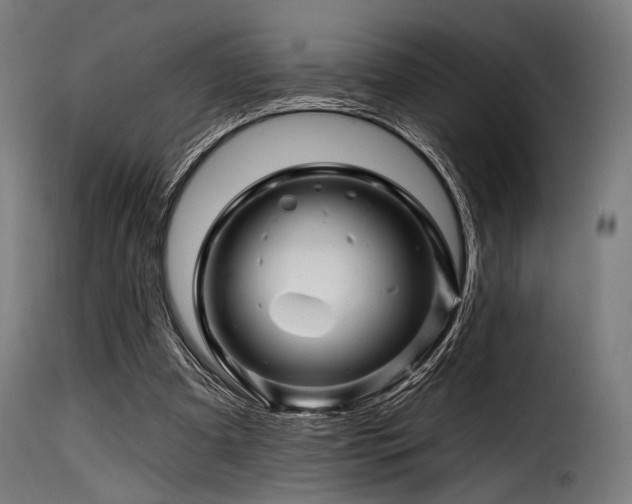 X0000116160297200911231411