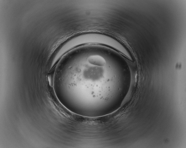 X0000116160299200911231411