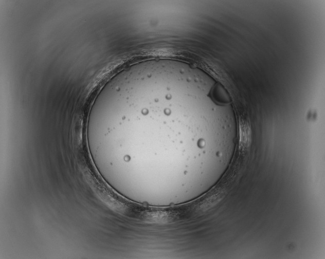 X0000116160301200911231411