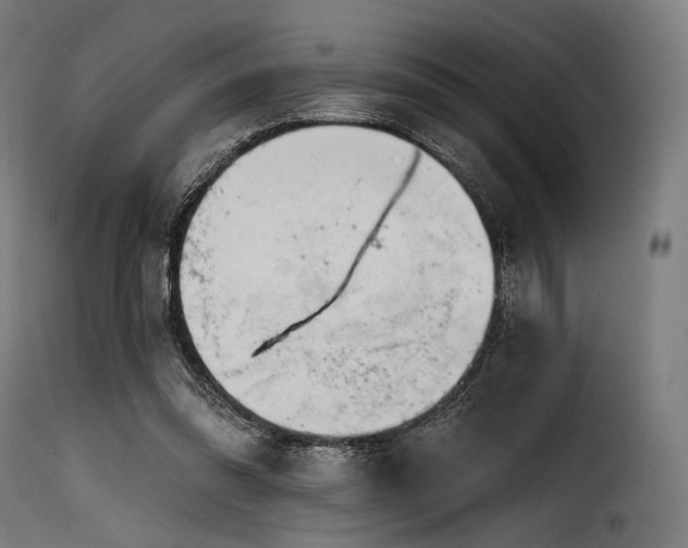 X0000116160302200911231411