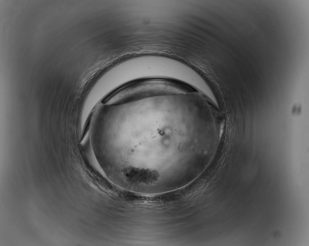 X0000116160303200911231411