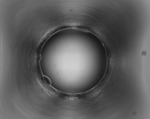 X0000116160304200911231411