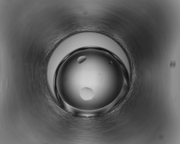 X0000116160305200911231411