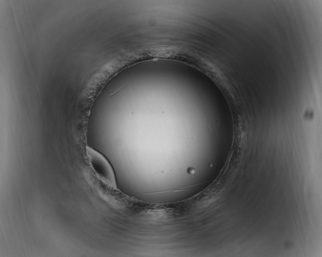 X0000116160307200911231411