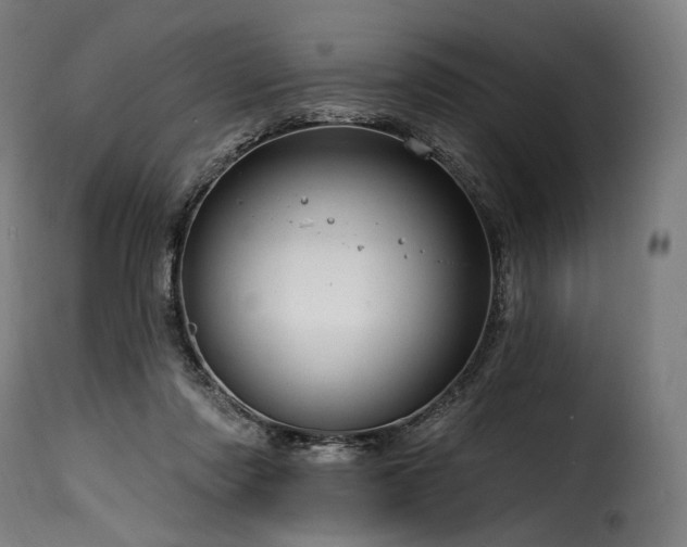 X0000116160310200911231411