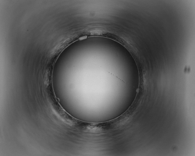 X0000116160311200911231411