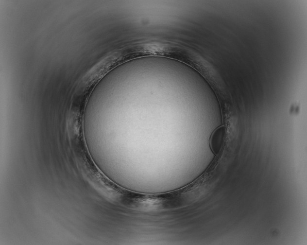 X0000116160313200911231411