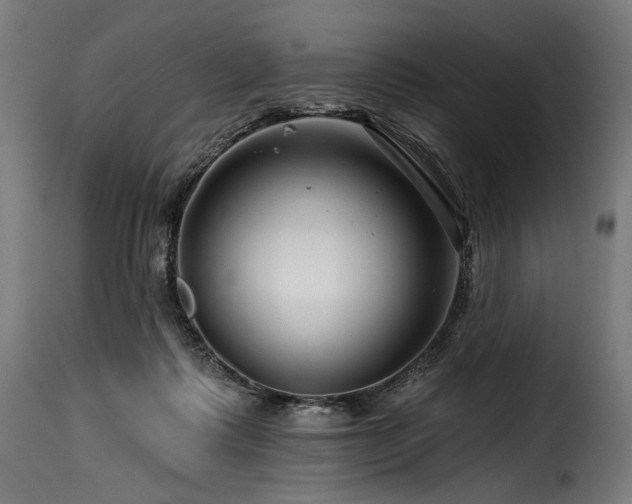 X0000116160315200911231411