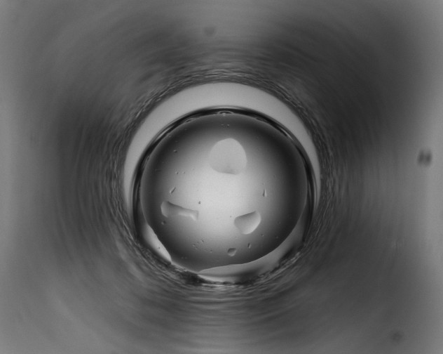 X0000116160316200911231411