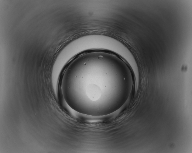 X0000116160317200911231411