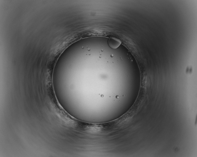 X0000116160318200911231411