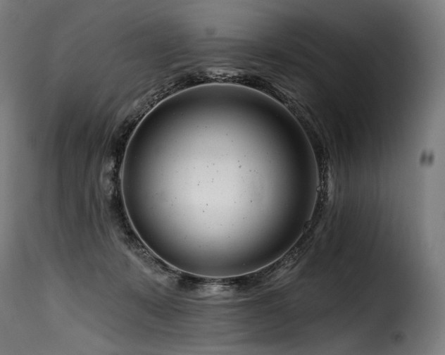 X0000116160319200911231411