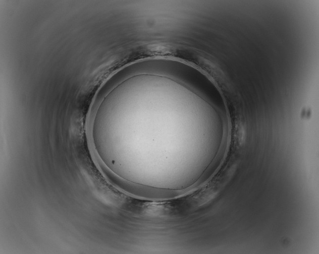 X0000116160320200911231411