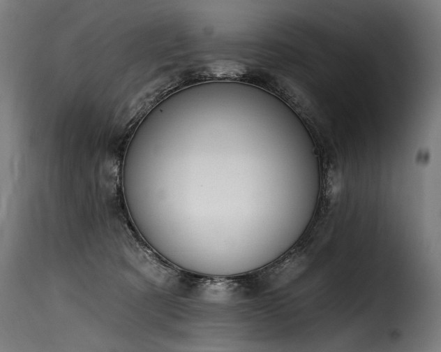 X0000116160321200911231411