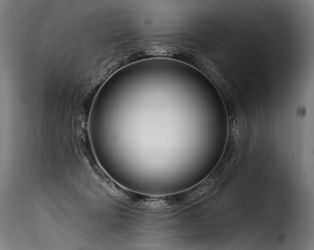 X0000116160322200911231411