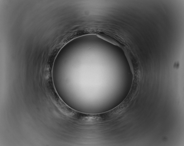 X0000116160323200911231411