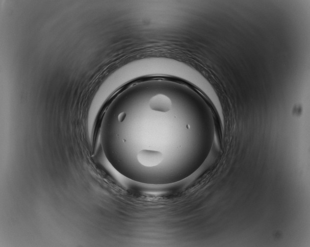 X0000116160324200911231411