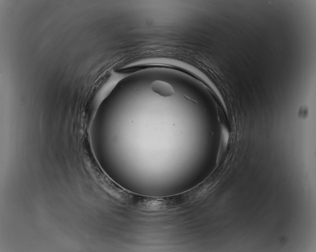 X0000116160325200911231411