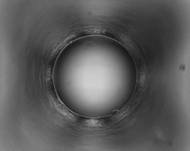 X0000116160326200911231411