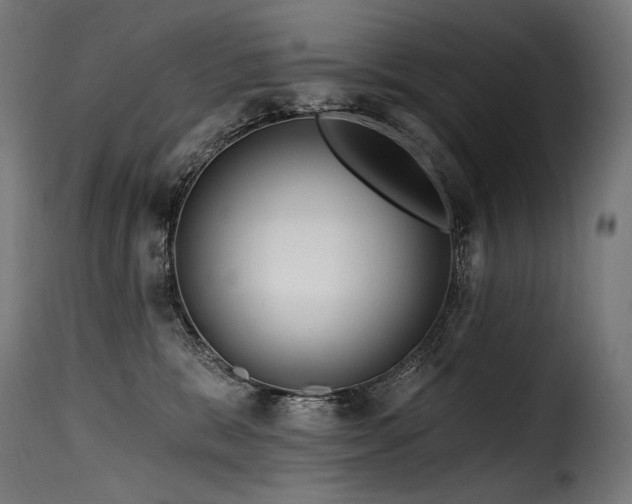 X0000116160327200911231411