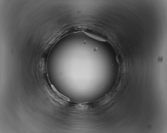 X0000116160328200911231411