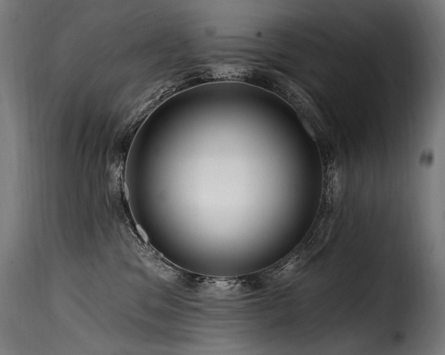 X0000116160329200911231411