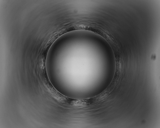 X0000116160331200911231411