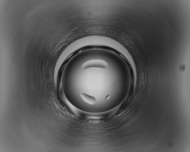 X0000116160332200911231411