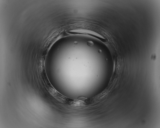 X0000116160333200911231411