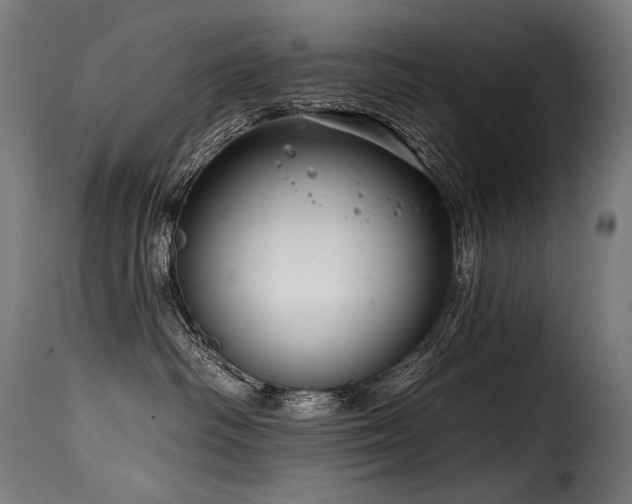 X0000116160334200911231411