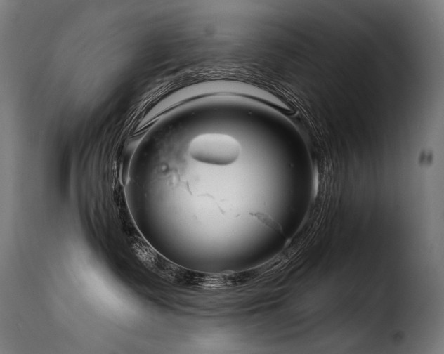 X0000116160335200911231411