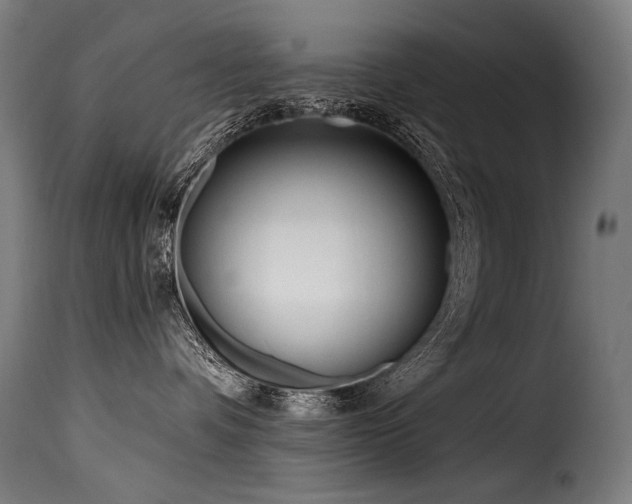 X0000116160336200911231411