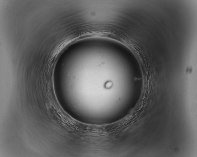 X0000116160337200911231410