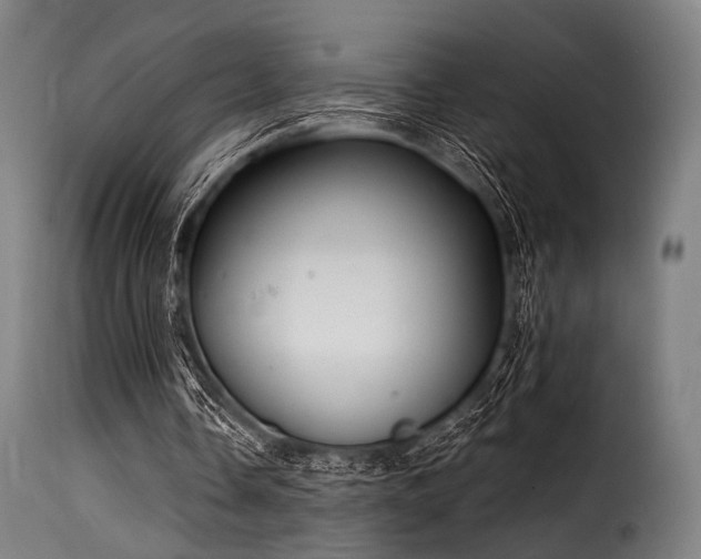 X0000116160338200911231410