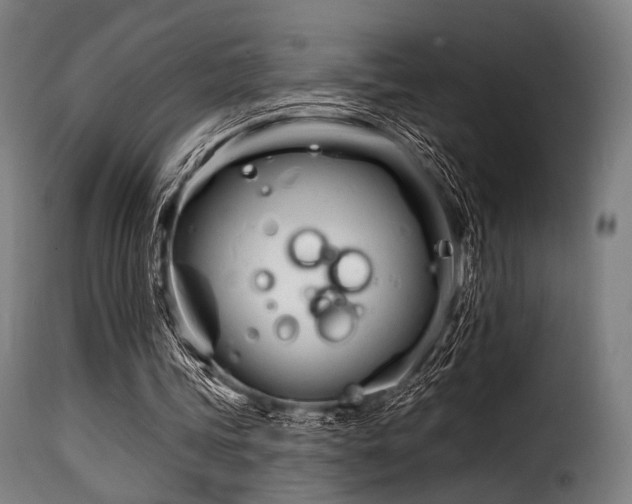 X0000116160339200911231410