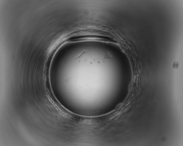 X0000116160341200911231410