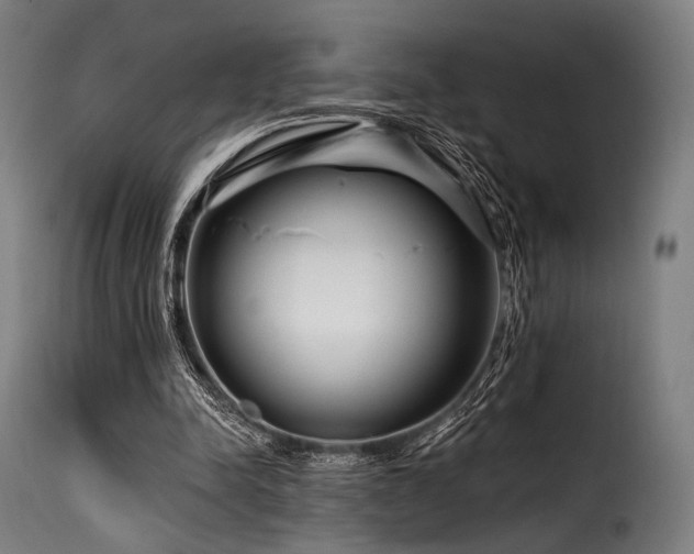 X0000116160342200911231410