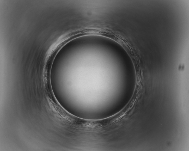 X0000116160343200911231410