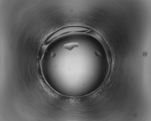 X0000116160345200911231410