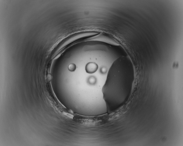 X0000116160347200911231410