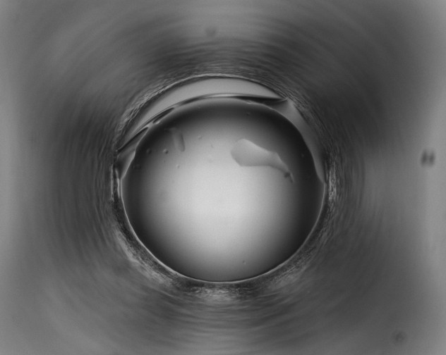 X0000116160349200911231410