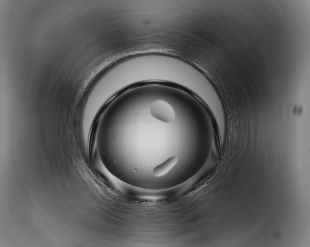 X0000116160350200911231410