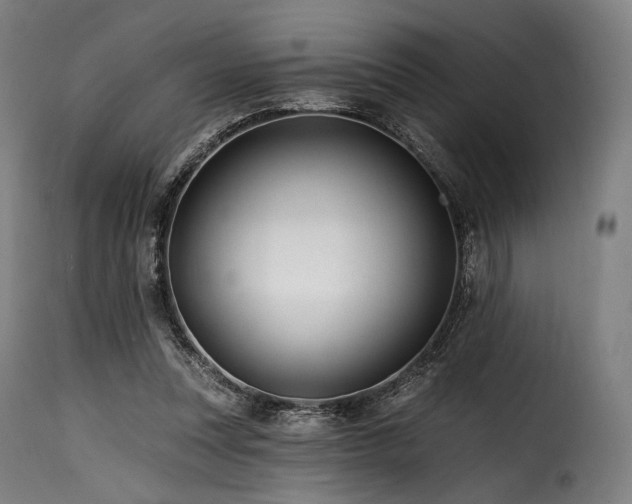 X0000116160351200911231410