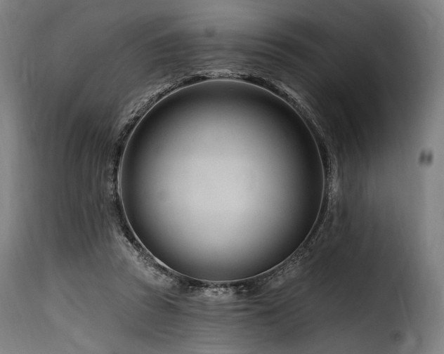 X0000116160353200911231410