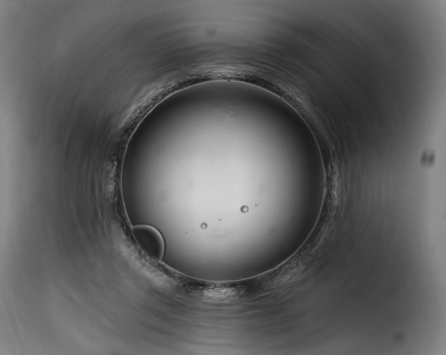 X0000116160357200911231410