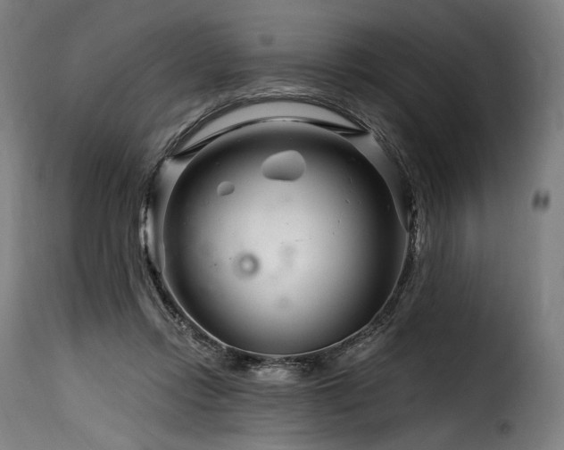 X0000116160358200911231410