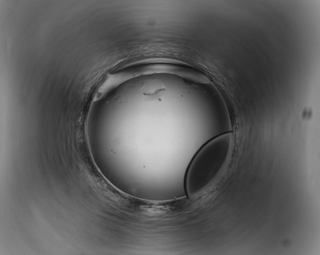 X0000116160359200911231410