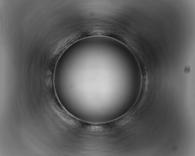 X0000116160361200911231410